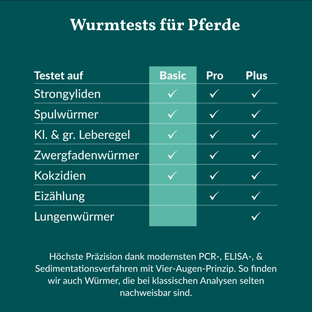 Vetevo Wurmtest Basic – Pferd Vetevo Wurmtest Basic – Pferd von Vetevo