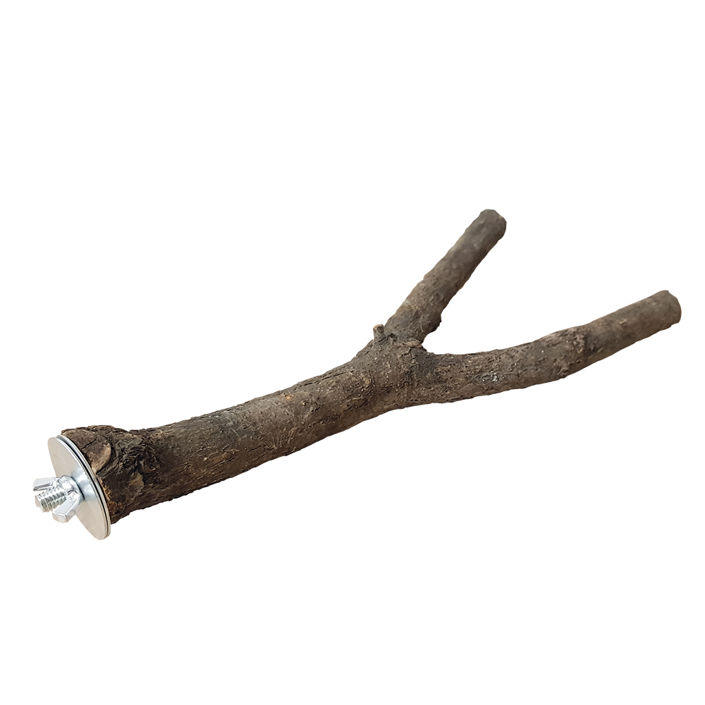 Vogel-Y-Sitzstange aus Naturholz - 30 cm