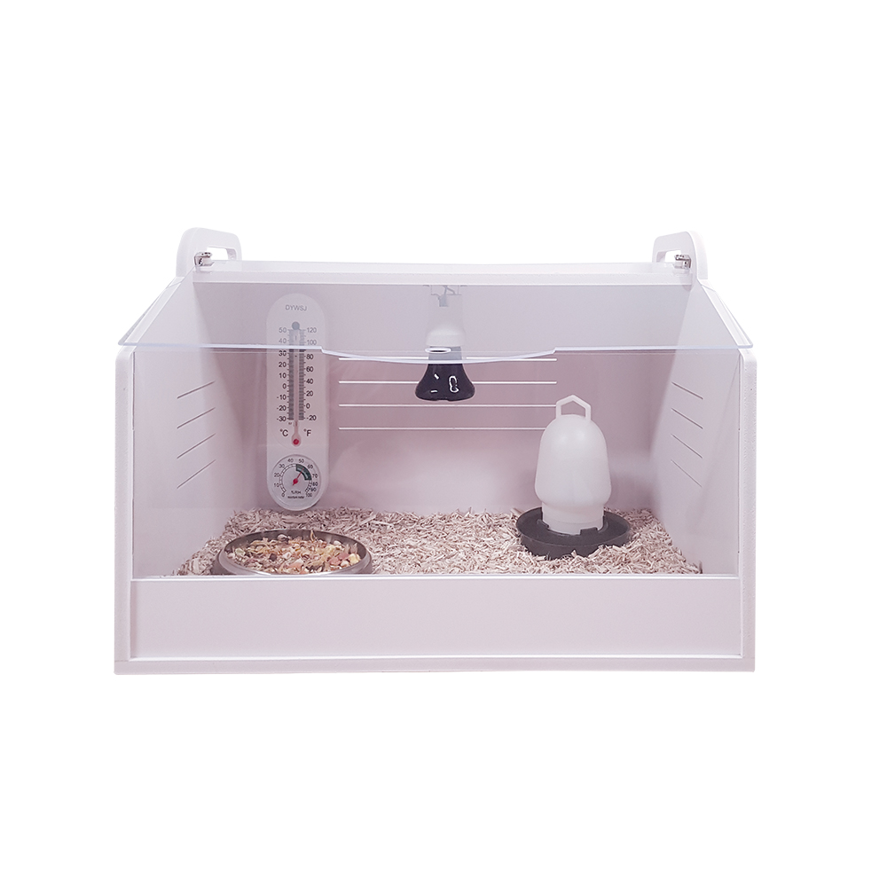 Vogelküken- / Kükenaufzuchtbox Easy 50 cm - Komplettset