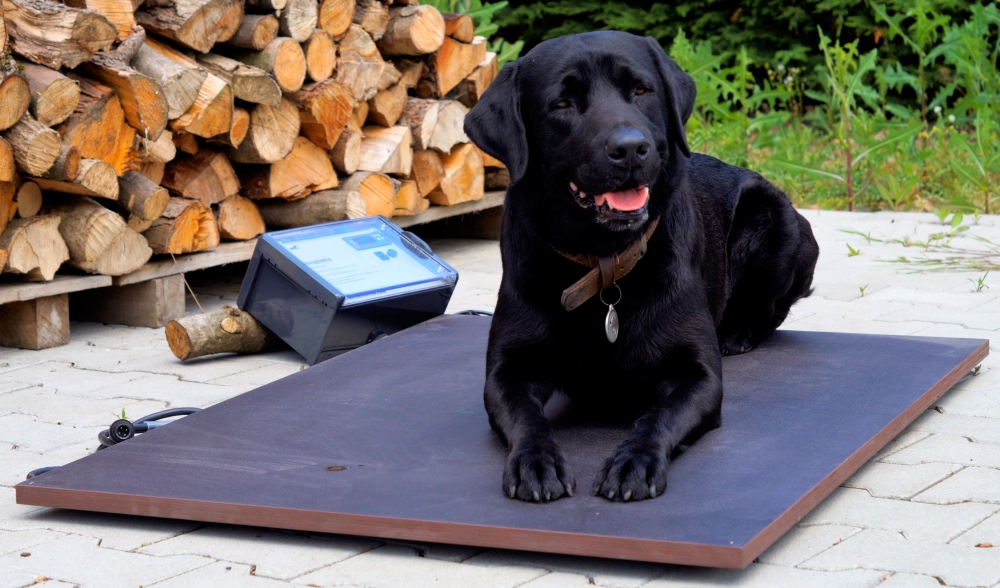 Wärmeplatte Plus 87 x 125 cm für SAUERLAND Hundehütte bis 90 cm Widerristh. (Inn...
