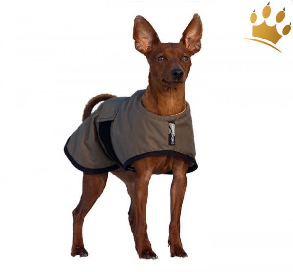 WarmUp Cape Wind & Rain Mini Oliv