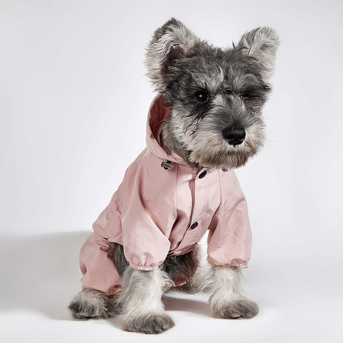Wasserdichter Regenmantel f?r Hunde und Katzen