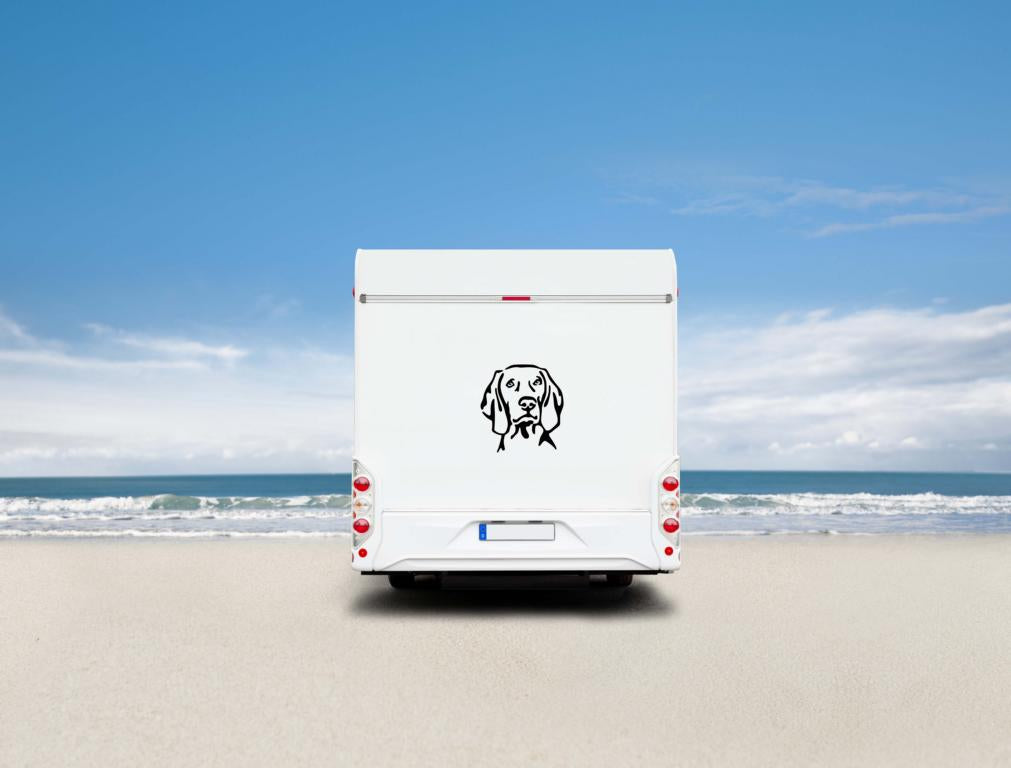 Weimaraner Kopf Auto Wohnmobil Aufkleber I Wandtattoo - H50cm / Weiß