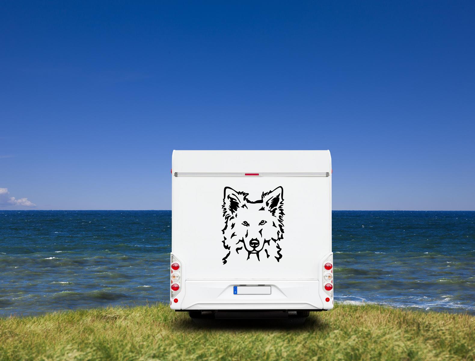 Weißer Schäferhund Kopf - Berger Blanc Suisse Auto Wohnmobil Aufkleber  l Wandtattoo - H20cm / Weiß