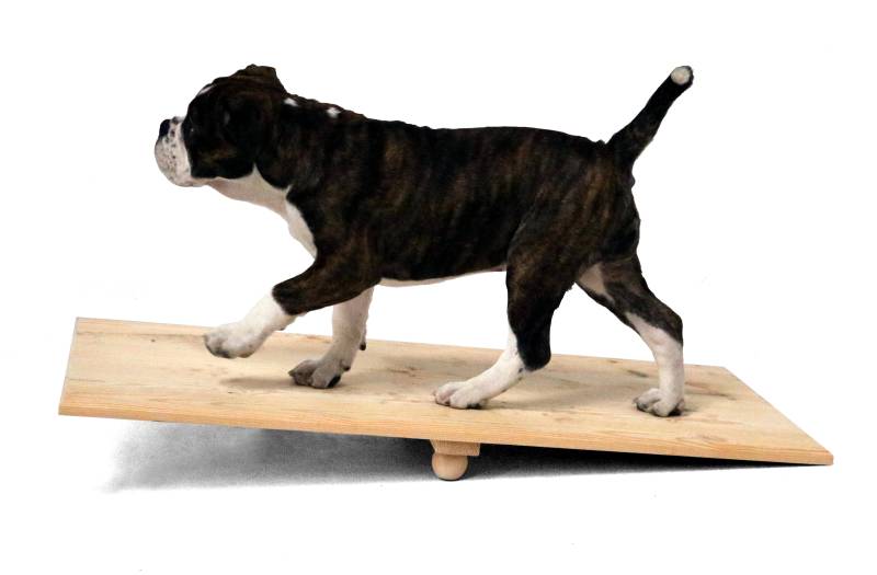 Welpen-Wippe 60x40x10 cm, Activity Holz-Wippbrett für Hunde, naturbelassen