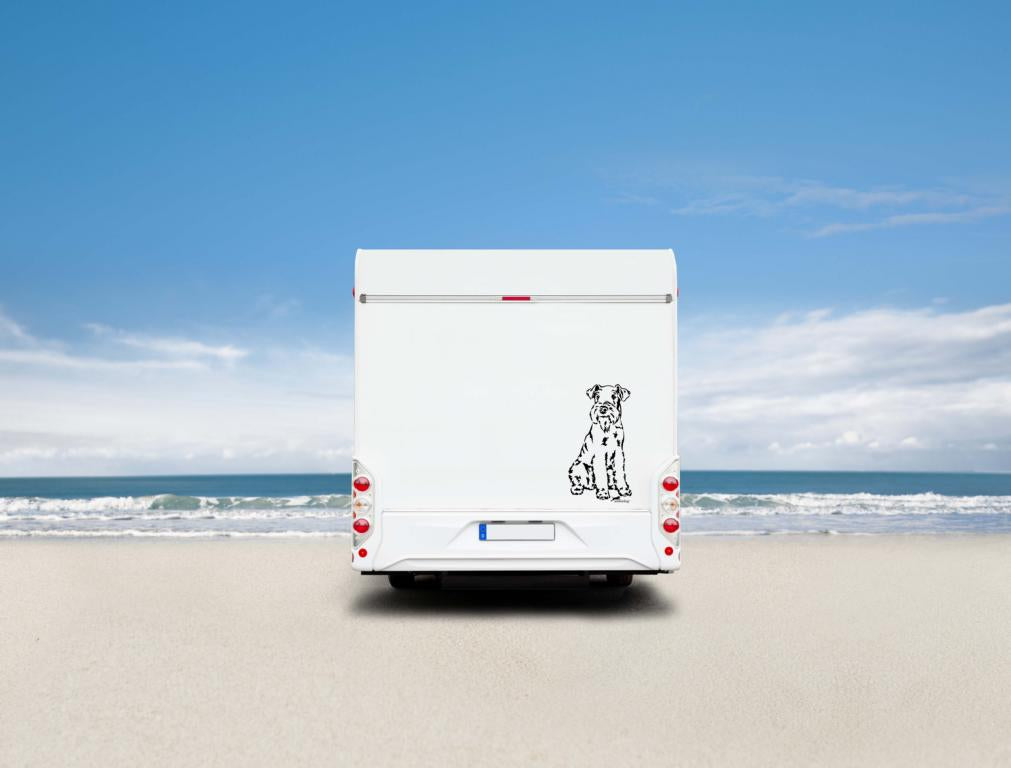Welsh Terrier Auto Wohnmobil Aufkleber I Wandtattoo - H50cm / Weiß