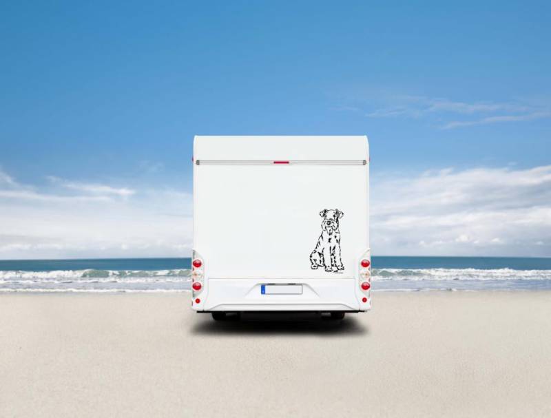 Welsh Terrier Auto Wohnmobil Aufkleber I Wandtattoo - H50cm / Weiß