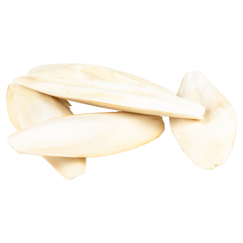 Witte Molen Sepia-schale weiß 5 kg