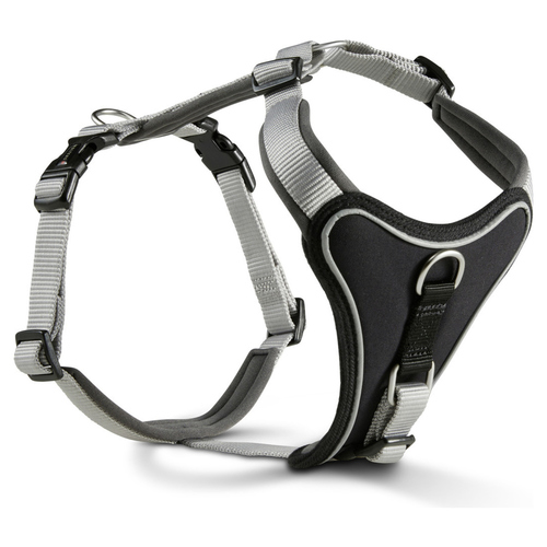 Wolters Geschirr Professional Comfort silber grau, Größe: 2 A, Breite: 25 mm