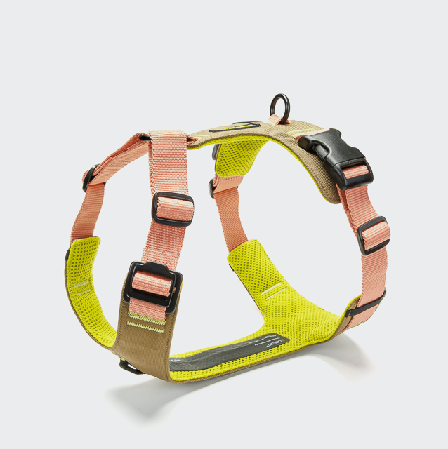 Y-2 Geschirr AKTIV Cordura Peach M