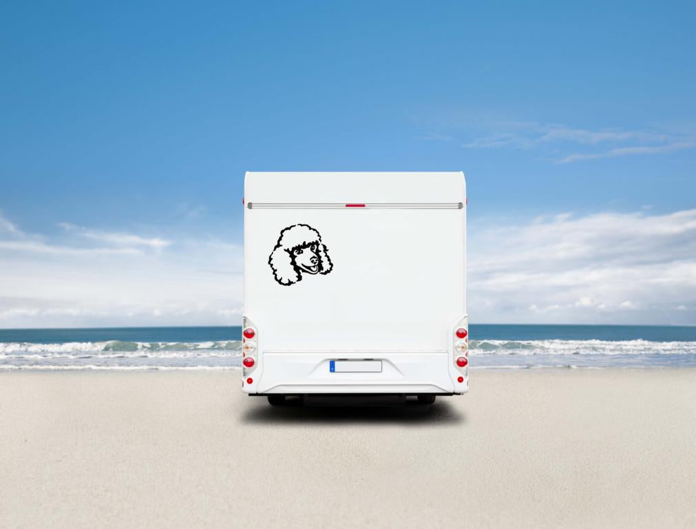 Zwergpudel /Kleinpudel Kopf Auto Wohnmobil Aufkleber I Wandtattoo - H50cm / Schwarz