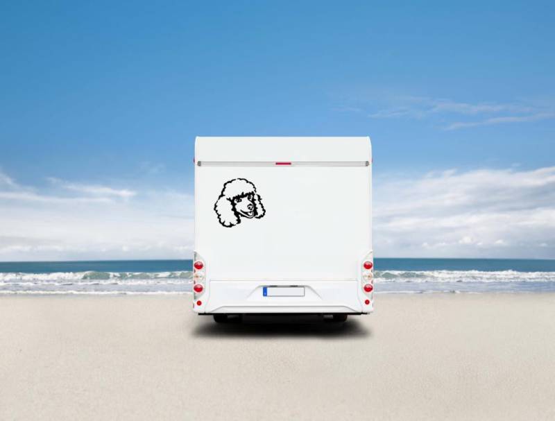 Zwergpudel /Kleinpudel Kopf Auto Wohnmobil Aufkleber I Wandtattoo - H50cm / Schwarz