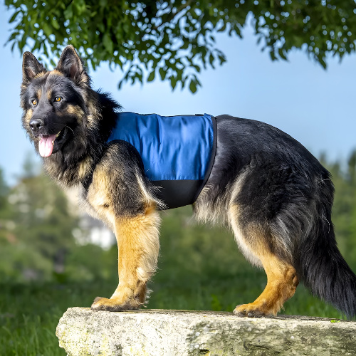 cani.cool Kühlweste PRO für Hunde blau inkl. PCM Packs, Größe: XL
