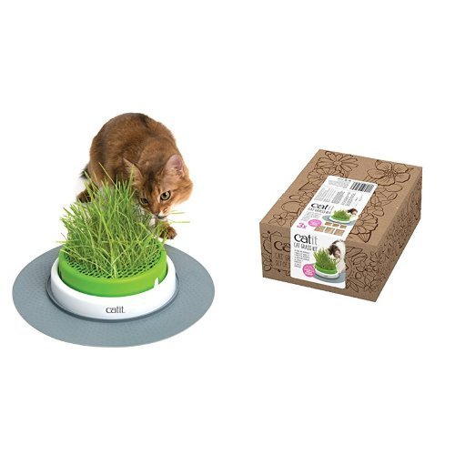catit 43161W Senses 2.0 Grastopf / catit 43162W Senses 2.0 Katzengras, 3er Pack