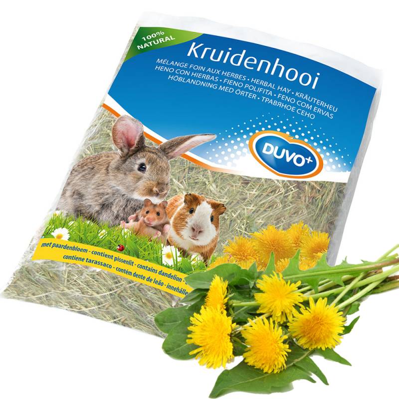 duvo plus - Kräuter Heu - Löwenzahn 500 g