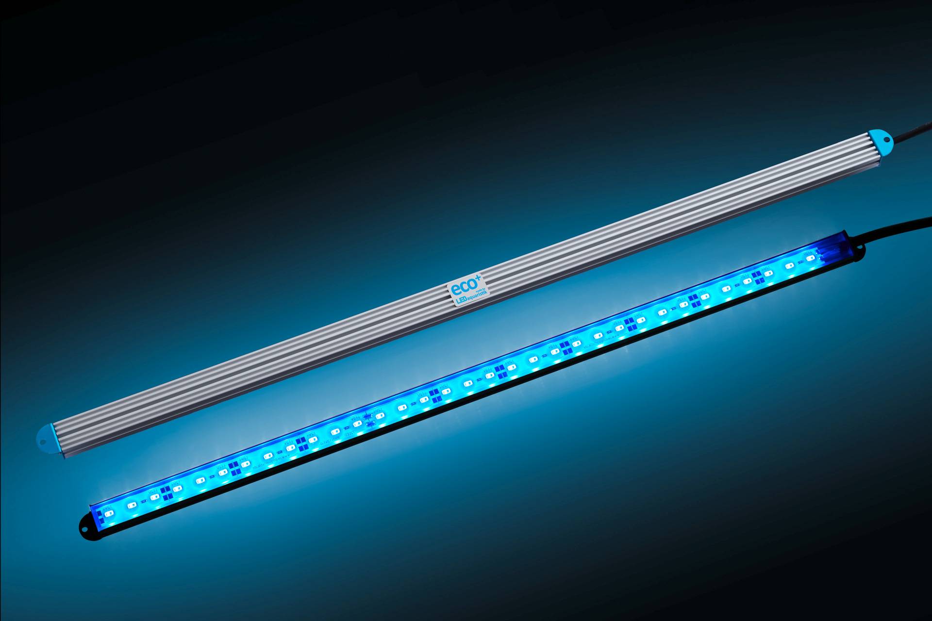 eco+ LED-Leiste ROYAL BLUE