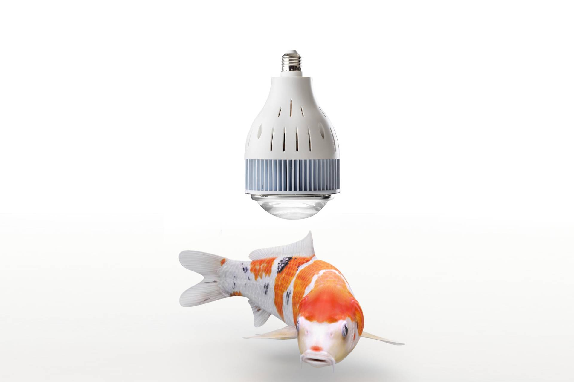flexBEAM Koi Edition LED-Strahler