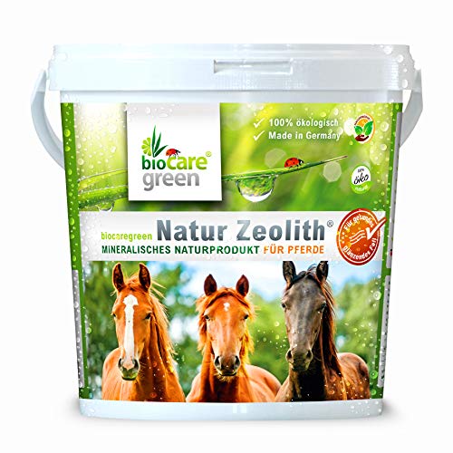 Biocaregreen Natur Zeolith Pferd | 1kg, Garantierte Vermahlung auf 50 μm | Nahrungsergänzung für Pferde von biocaregreen