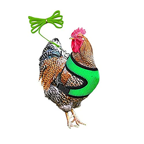biteatey Hühnergeschirr, Verstellbares Hühnergeschirr, Hühnertrainingsgeschirr, Hühnergeschirr Mit Leine,Atmungsaktive Haustier-Hühnerweste, Verwendet, Um Hühner/Enten/Gänse/Kleintiere Zu Führen von biteatey