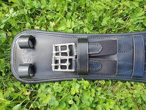 blanq Anatomischer Ledersattelgurt, Schwarz, 60-70 cm, mit hochwertigen Doppelschnallen blanq Anatomischer Ledersattelgurt, Schwarz, 60-70 cm, mit hochwertigen Doppelschnallen von blanq
