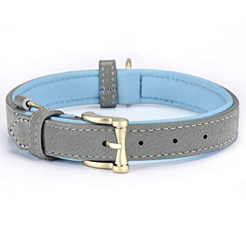 blu&ben Hundehalsband aus echtem Leder, klassisch, weich gepolstert, stilvoll, atmungsaktiv, Hundehalsband für kleine, mittelgroße und große Hunde von blu&ben