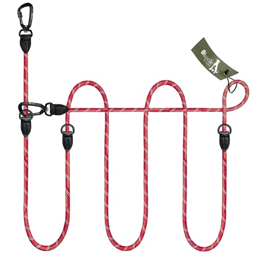 BLUZELLE Verstellbare Hundeleine 3m, Mittelgroße & Große Hunde, Freihandleine Doppelleine für 2 Hunde, 2 Starke Aluminium-Karabiner, Reflektierende Paracord-Leine mit Leder-Akzenten, Farbe:Rot BLUZELLE Verstellbare Hundeleine 3m, Mittelgroße & Große Hunde, Freihandleine Doppelleine für 2 Hunde, 2 Starke Aluminium-Karabiner, Reflektierende Paracord-Leine mit Leder-Akzenten, Farbe:Rot von bluzelle