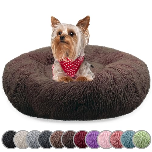 bluzelle Hundebett für kleine Hunde & Katzen, 50cm Hundekissen Rund Donut Kissen Hundekorb Plüsch, Katzenbett Flauschig Katzenkissen Waschbar rutschfest Weich, Farbe:Coffee bluzelle Hundebett für kleine Hunde & Katzen, 50cm Hundekissen Rund Donut Kissen Hundekorb Plüsch, Katzenbett Flauschig Katzenkissen Waschbar rutschfest Weich, Farbe:Coffee von bluzelle