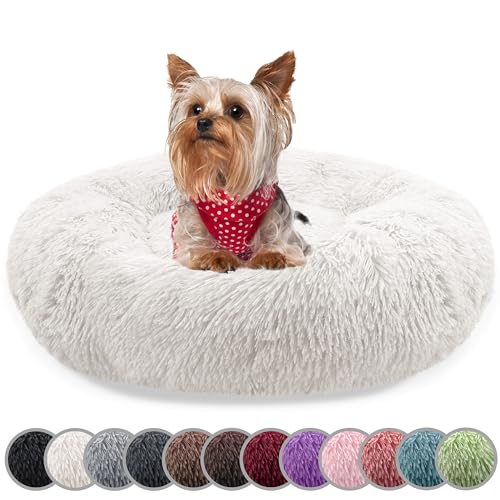 bluzelle Hundebett für kleine Hunde & Katzen, 50cm Hundekissen Rund Donut Kissen Hundekorb Plüsch, Katzenbett Flauschig Katzenkissen Waschbar rutschfest Weich, Farbe:Cream von bluzelle