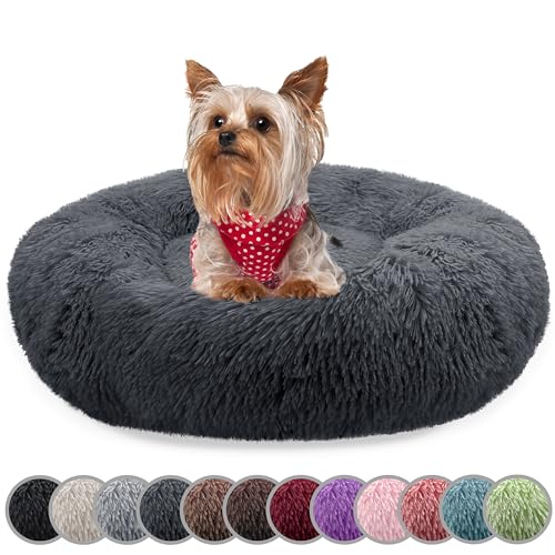bluzelle Hundebett für kleine Hunde & Katzen, 50cm Hundekissen Rund Donut Kissen Hundekorb Plüsch, Katzenbett Flauschig Katzenkissen Waschbar rutschfest Weich, Farbe:Dunkel-Grau bluzelle Hundebett für kleine Hunde & Katzen, 50cm Hundekissen Rund Donut Kissen Hundekorb Plüsch, Katzenbett Flauschig Katzenkissen Waschbar rutschfest Weich, Farbe:Dunkel-Grau von bluzelle
