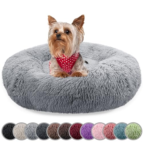 bluzelle Hundebett für kleine Hunde & Katzen, 50cm Hundekissen Rund Donut Kissen Hundekorb Plüsch, Katzenbett Flauschig Katzenkissen Waschbar rutschfest Weich, Farbe:Hellgrau bluzelle Hundebett für kleine Hunde & Katzen, 50cm Hundekissen Rund Donut Kissen Hundekorb Plüsch, Katzenbett Flauschig Katzenkissen Waschbar rutschfest Weich, Farbe:Hellgrau von bluzelle