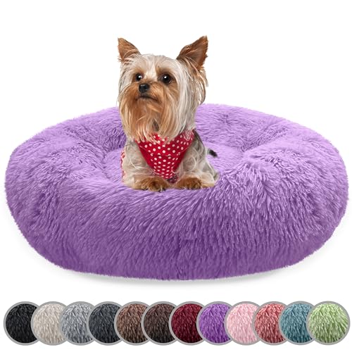 bluzelle Hundebett für kleine Hunde & Katzen, 50cm Hundekissen Rund Donut Kissen Hundekorb Plüsch, Katzenbett Flauschig Katzenkissen Waschbar rutschfest Weich, Farbe:Lila von bluzelle