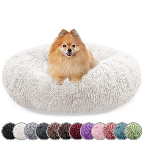 bluzelle Hundebett für kleine Hunde & Katzen, 60cm Hundekissen Rund Donut Kissen Hundekorb Plüsch, Katzenbett Flauschig Katzenkissen Waschbar rutschfest Weich, Farbe:Cream von bluzelle