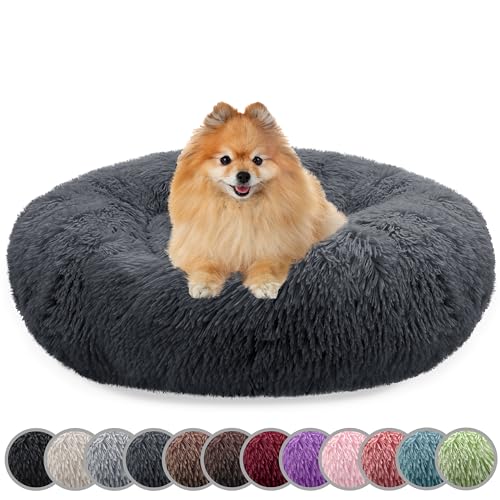 bluzelle Hundebett für kleine Hunde & Katzen, 60cm Hundekissen Rund Donut Kissen Hundekorb Plüsch, Katzenbett Flauschig Katzenkissen Waschbar rutschfest Weich, Farbe:Dunkel-Grau bluzelle Hundebett für kleine Hunde & Katzen, 60cm Hundekissen Rund Donut Kissen Hundekorb Plüsch, Katzenbett Flauschig Katzenkissen Waschbar rutschfest Weich, Farbe:Dunkel-Grau von bluzelle