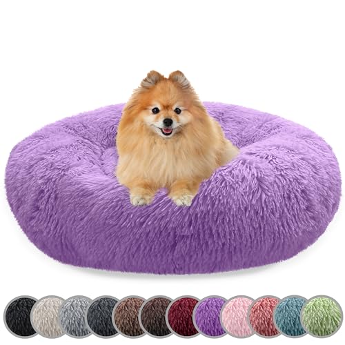bluzelle Hundebett für kleine Hunde & Katzen, 60cm Hundekissen Rund Donut Kissen Hundekorb Plüsch, Katzenbett Flauschig Katzenkissen Waschbar rutschfest Weich, Farbe:Lila bluzelle Hundebett für kleine Hunde & Katzen, 60cm Hundekissen Rund Donut Kissen Hundekorb Plüsch, Katzenbett Flauschig Katzenkissen Waschbar rutschfest Weich, Farbe:Lila von bluzelle