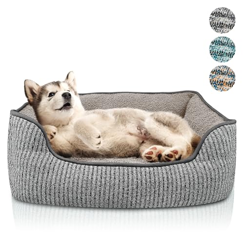 bluzelle Hundebett für kleine Hunde & Katzen, Hundekorb Hundesofa Hundekissen Katzenbett Katzenkissen, Waschbar rutschfest Herausnehmbares Kissen Flauschig Plüsch Teddy-Fell, Größe S, Farbe:Grau bluzelle Hundebett für kleine Hunde & Katzen, Hundekorb Hundesofa Hundekissen Katzenbett Katzenkissen, Waschbar rutschfest Herausnehmbares Kissen Flauschig Plüsch Teddy-Fell, Größe S, Farbe:Grau von bluzelle