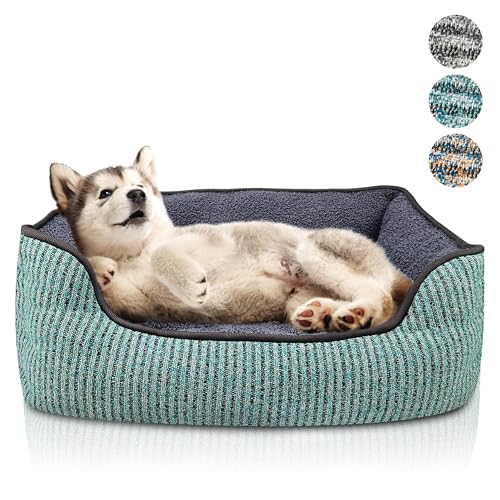bluzelle Hundebett für kleine Hunde & Katzen, Hundekorb Hundesofa Hundekissen Katzenbett Katzenkissen, Waschbar rutschfest Herausnehmbares Kissen Flauschig Plüsch Teddy-Fell, Größe S, Farbe:Grün bluzelle Hundebett für kleine Hunde & Katzen, Hundekorb Hundesofa Hundekissen Katzenbett Katzenkissen, Waschbar rutschfest Herausnehmbares Kissen Flauschig Plüsch Teddy-Fell, Größe S, Farbe:Grün von bluzelle