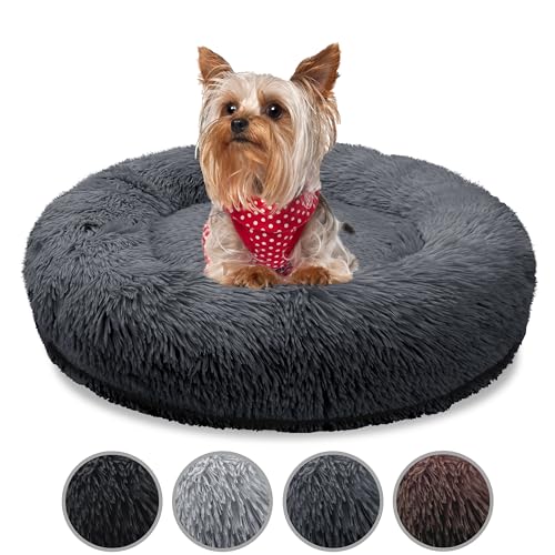 bluzelle Orthopädisches Hundebett für Kleine Hunde & Katzen, 50cm Donut Kissen Waschbar Rund Memory Foam Hundekorb Katzenbett Flauschig Hundekissen Katzenkissen, Farbe:Dunkel-Grau von bluzelle