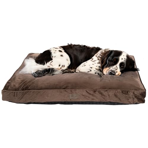 Bo & Flash Design Hundekissen für kleine Hunde – Trendige Liegematte Madison – Waschbar und ohne Schadstoffe – Liegekissen Flach mit Anti-Rutsch-Beschichtung – M 50 X 80 X 10 cm – Taupe von bo&flash