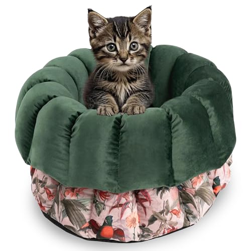 bo&flash Flauschiges Katzenbett Los Angeles – Trendiger Katzen Schlafplatz Waschbar und ohne Schadstoffe – Rundes Design Haustierbett mit hochwertigem Flanellbezug – 45 x 23 cm – Elodie von bo&flash