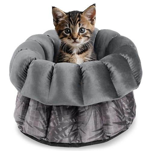 bo&flash Flauschiges Katzenbett Los Angeles – Trendiger Katzen Schlafplatz Waschbar und ohne Schadstoffe – Rundes Design Haustierbett mit hochwertigem Flanellbezug – 45 x 23 cm – Ilse von bo&flash