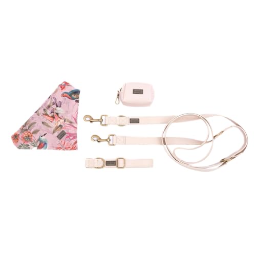 bo&flash Hundeleinen Set Charleston für große Hunde – Bequemes Hundehalsband mit 2,5 m Leine – 4 tlgs. Set aus veganem Leder mit verstellbarem Halsband und charmantem Halstuch – Elodie – L von bo&flash