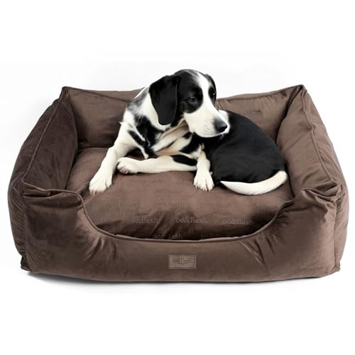 bo&flash Kuscheliges Hundebett Groß – Trendiges Hundekörbchen Austin – Hundesofa Gelenkschonend und Waschbar für Große Hunde – XL 80 X 110 X 28 cm – Quadratisch mit Rand – Taupe von bo&flash