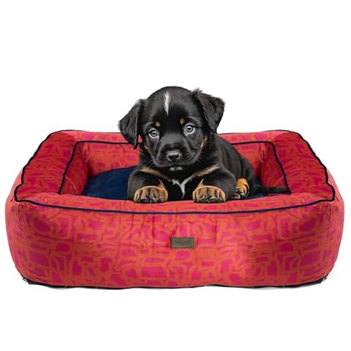 bo&flash Kuscheliges Hundebett Groß – Trendiges Hundekörbchen Boise – Hundesofa Gelenkschonend und Waschbar für Kleine Hunde – L 70 X 90 X 25 cm – Quadratisch mit Rand – Chouk von bo&flash