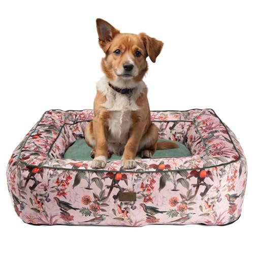 bo&flash Kuscheliges Hundebett Groß – Trendiges Hundekörbchen Boise – Hundesofa Gelenkschonend und Waschbar für Kleine Hunde – M 60 X 70 X 20 cm – Quadratisch mit Rand – Simone von bo&flash