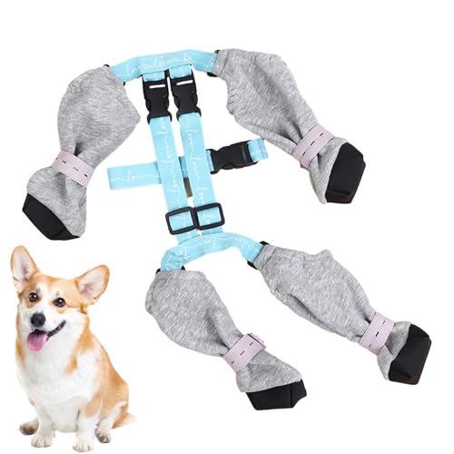 Pfotenleggins für Hundestiefel, wasserdichte Leggings, Pfotenschutz, Pfotenschutz für Hunde, verstellbarer Riemen, Hose für Hunde für alle Jahreszeiten, Passeg-Stiefel Pfotenleggins für Hundestiefel, wasserdichte Leggings, Pfotenschutz, Pfotenschutz für Hunde, verstellbarer Riemen, Hose für Hunde für alle Jahreszeiten, Passeg-Stiefel von bolix
