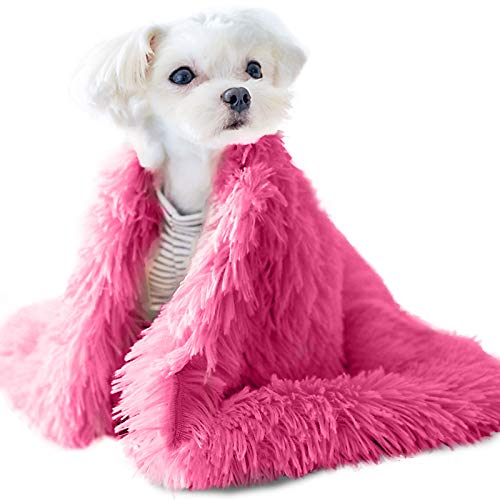 bolukets Flauschige Hundedecke, Hundedecke Haustier Super Softe Warme und Weiche Flauschig Fleece Maschinenwaschbar katzendecke für Hundebett Sofa und Couch von bolukets