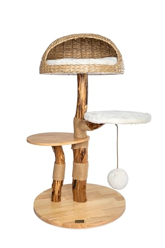Bontoy Kratzbaum Stella aus Holz 109 cm I Echtholzstamm I großer Liegekorb mit Kissen I Spielball am Seil I 2 Stufen I Herausnehmbares Kissen von bontoy