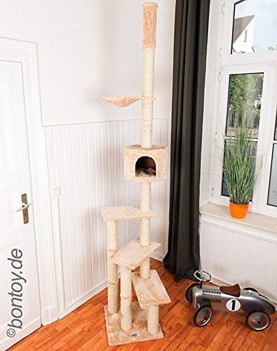 Bontoy Kratzbaum Pascha | Deckenhoch | mit 3 Ebenen | Farbe Creme | 240cm - 260cm | Sisalstämme mit 9cm Durchmesser | für Deckenhöhe von 240-260cm | weitere Deckenhöhe auf Anfrage Bontoy Kratzbaum Pascha | Deckenhoch | mit 3 Ebenen | Farbe Creme | 240cm - 260cm | Sisalstämme mit 9cm Durchmesser | für Deckenhöhe von 240-260cm | weitere Deckenhöhe auf Anfrage von bontoy