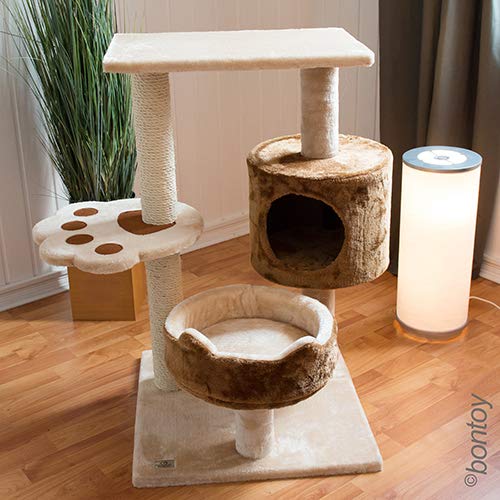 bontoy Kratzbaum Romy I 49,5 x 49,5 x 80 cm I mit ausreichend Liege- und Klettermöglichkeiten I auch für größere Katzen geeignet von bontoy
