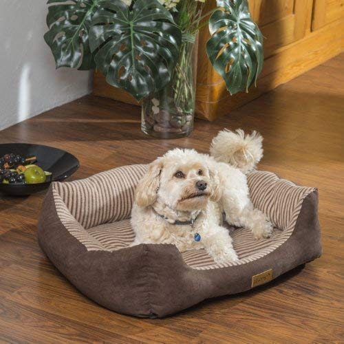 bontoy Kuschelsofa für Hunde I Größe L I Hundebett zum Kuscheln I für mittelgroße Hunde I Waschbares Körbchen I 70x65x20 cm von bontoy